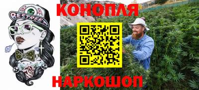 бошки Гагарин