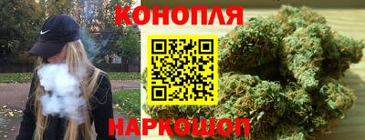 дживик Гай
