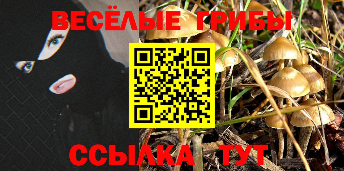 Конаково  Галлюциногенные грибы Cubensis  Вход с VPN 