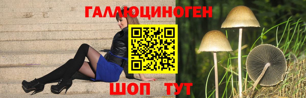 Галлюциногенные грибы GOLDEN TEACHER Конаково