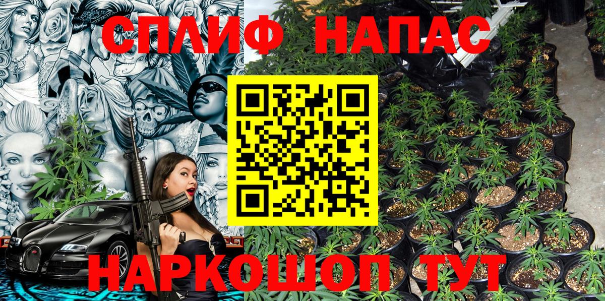Конаково  Бошки Шишки конопля  Вход с VPN  Каннабис марихуана 